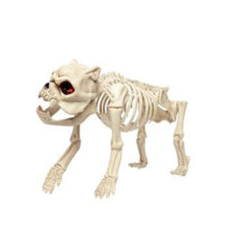 Skeleton Dog