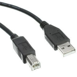 USB Type A - USB Type B Cable