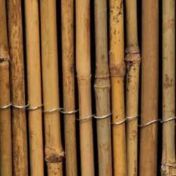 Natural Bamboo Pole / Cane
