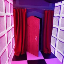 Mini Door with Curtains