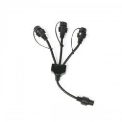 Festoon 3 Way Split Cable