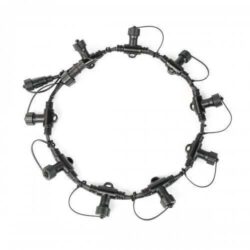 Festoon 10 Port Ring Connector