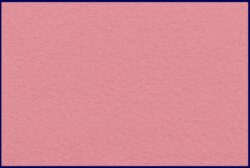 Event Cord - price per sq metre (Rose Ash Pink)